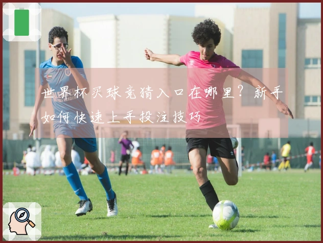 世界杯买球竞猜入口在哪里？新手如何快速上手投注技巧