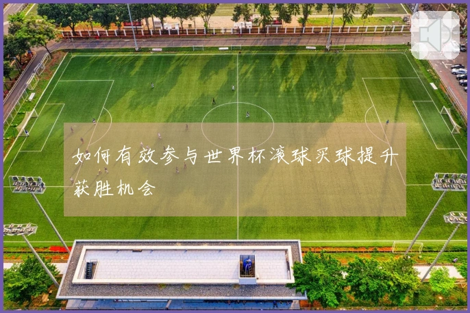 如何有效参与世界杯滚球买球提升获胜机会