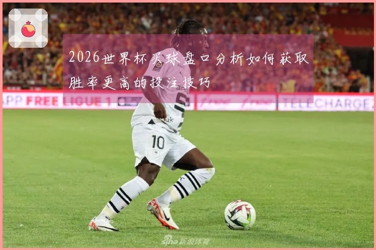 2026世界杯买球盘口分析如何获取胜率更高的投注技巧