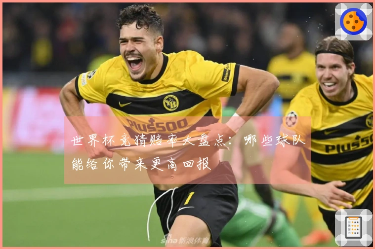世界杯竞猜赔率大盘点：哪些球队能给你带来更高回报