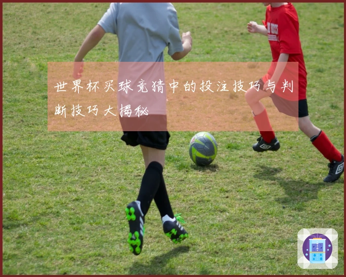 世界杯买球竞猜中的投注技巧与判断技巧大揭秘