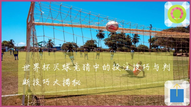 世界杯买球竞猜中的投注技巧与判断技巧大揭秘