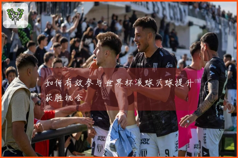 如何有效参与世界杯滚球买球提升获胜机会