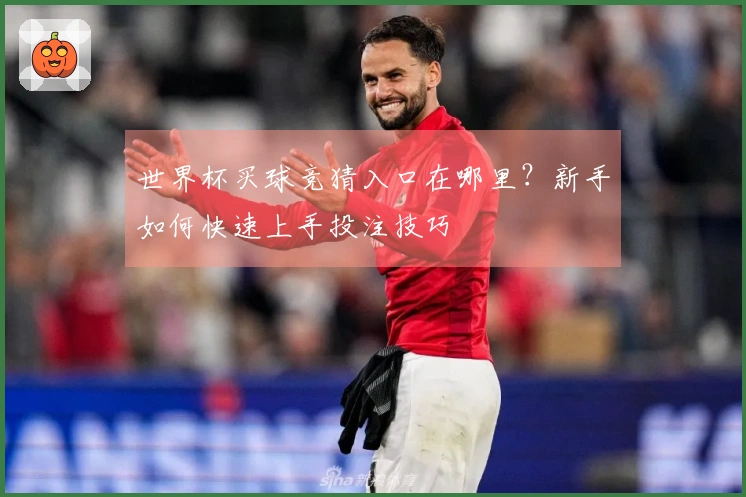 世界杯买球竞猜入口在哪里？新手如何快速上手投注技巧